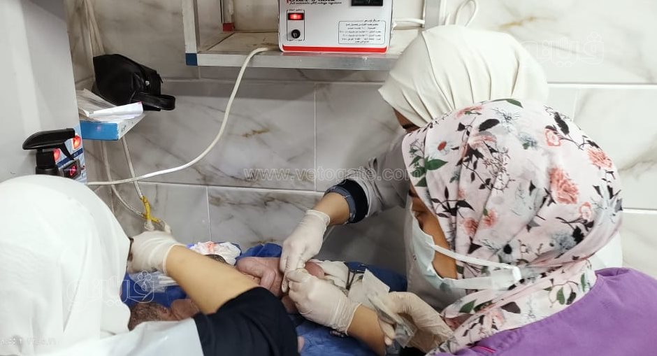 سيدة تضع 5 توائم في ولادة قيصرية (4)