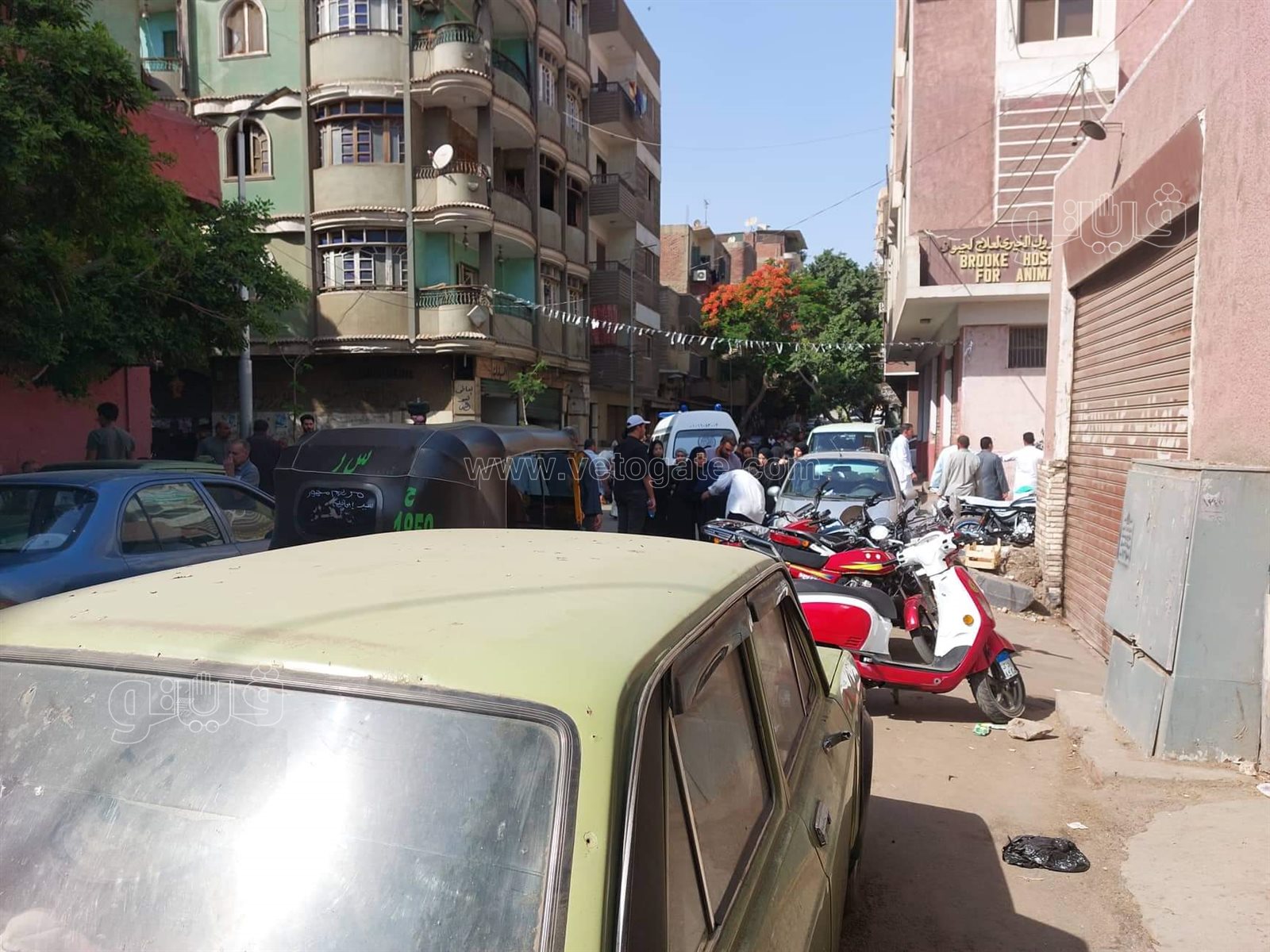 أهالي ضحايا مذبحة الريف الأوروبي (1)