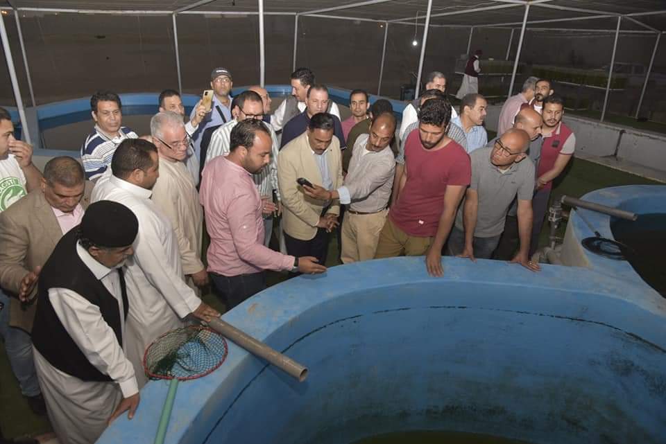 FB_IMG_1653726991735