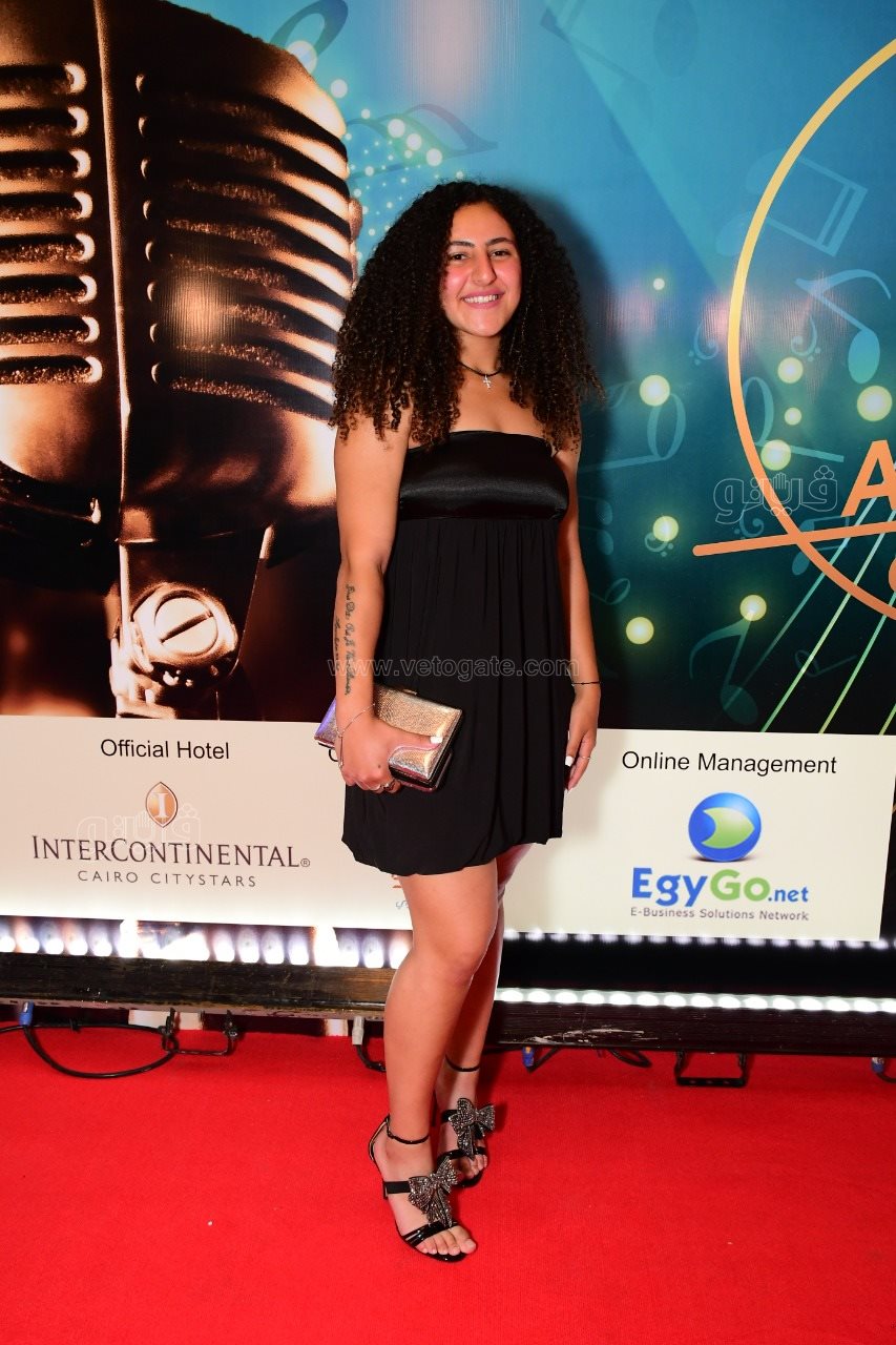 تكريم نجوم الفن وصناع المزيكا بمهرجان الميما (62)