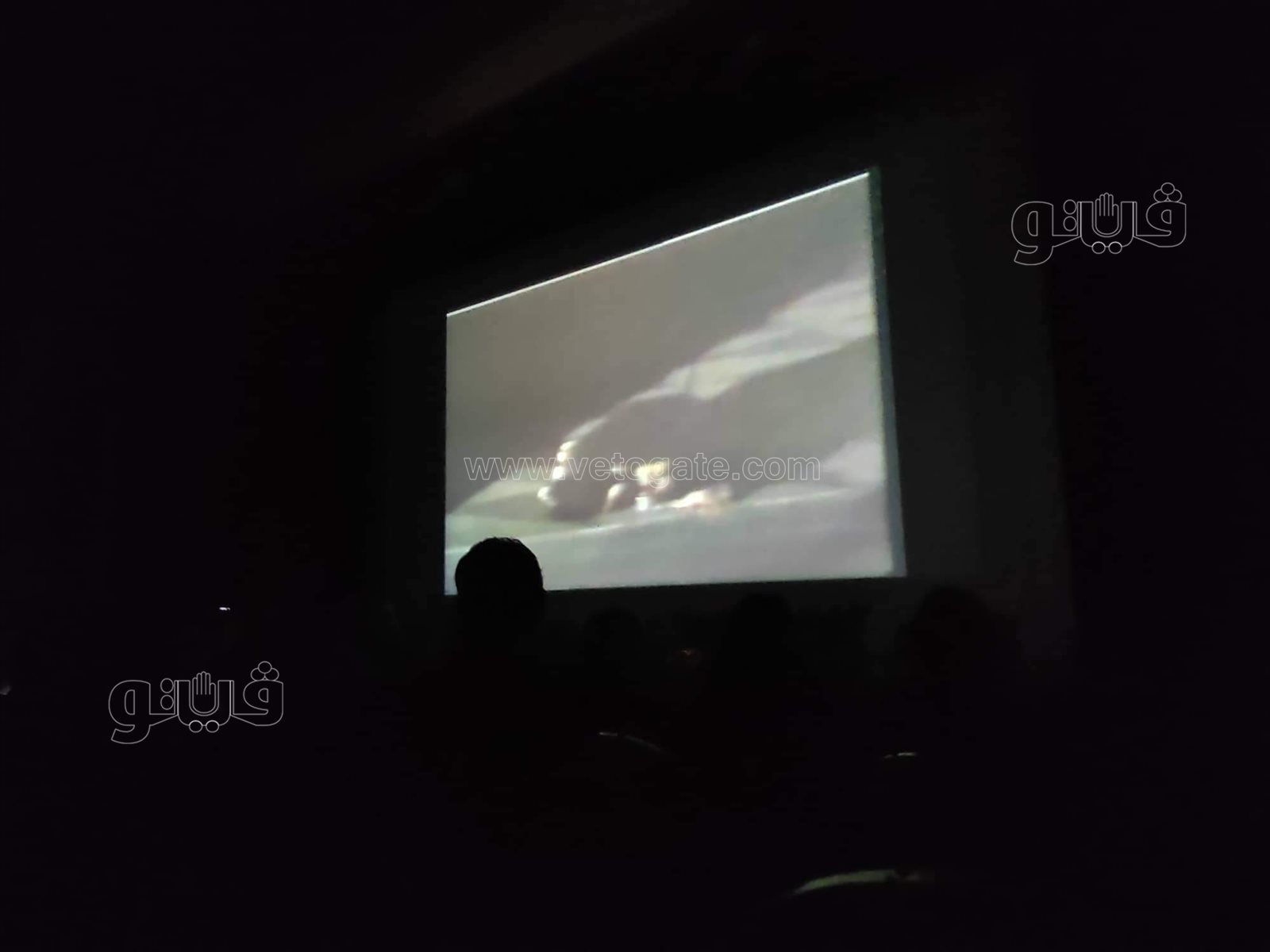 عرض هاملت في احتفالية تكريم محمد صبحي بدار الأوبرا (4)