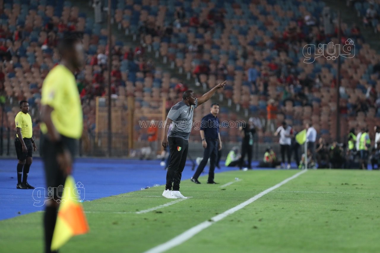 مصر وغينيا (1)