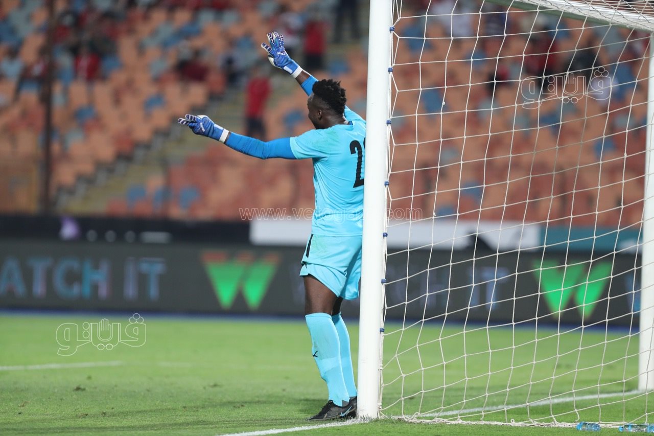 مصر وغينيا (2)