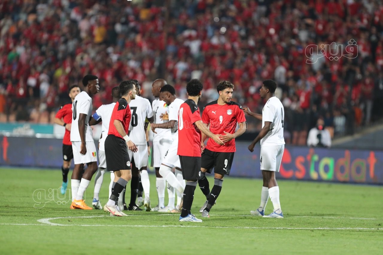 مصر وغينيا (3)