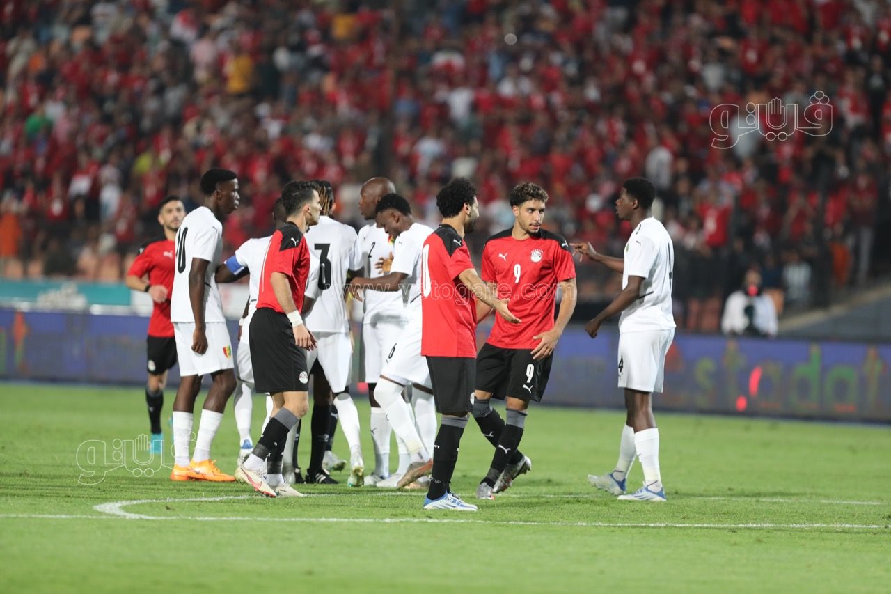 مصر وغينيا (4)