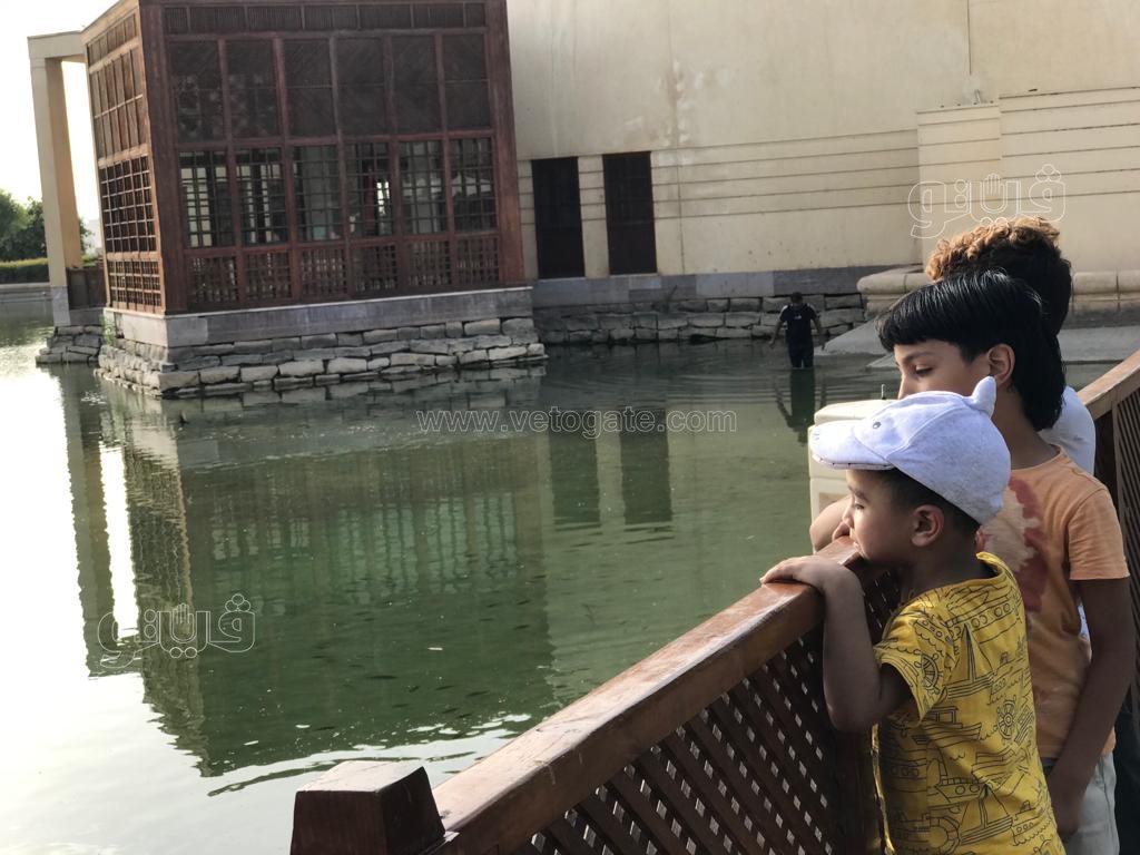 هربا من الحر استحمام الأطفال بمياه النافورة في حديقة الأزهر بارك (7)