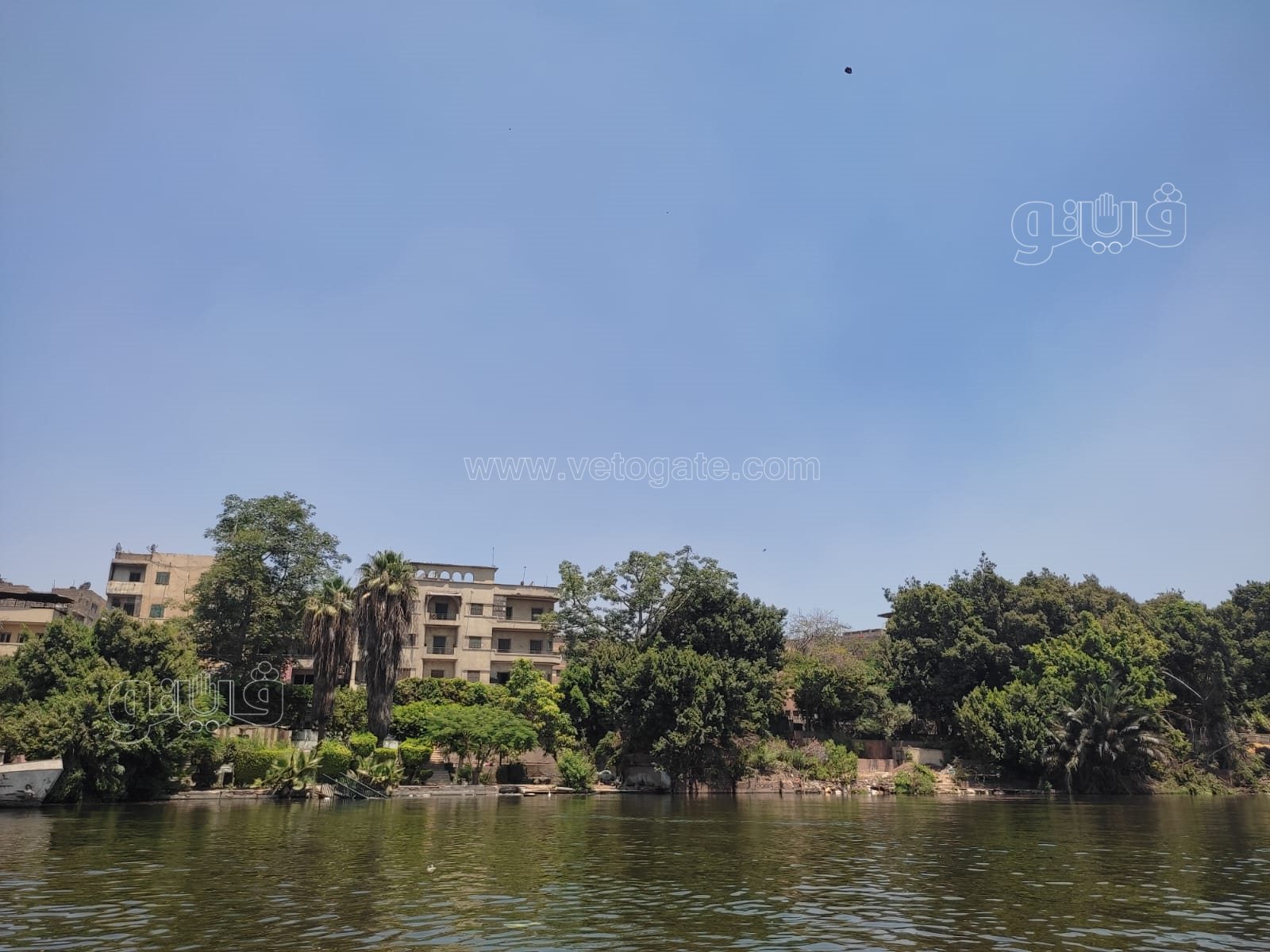 ازالة اكثر من 15 عائمة على نيل القاهرة (2)