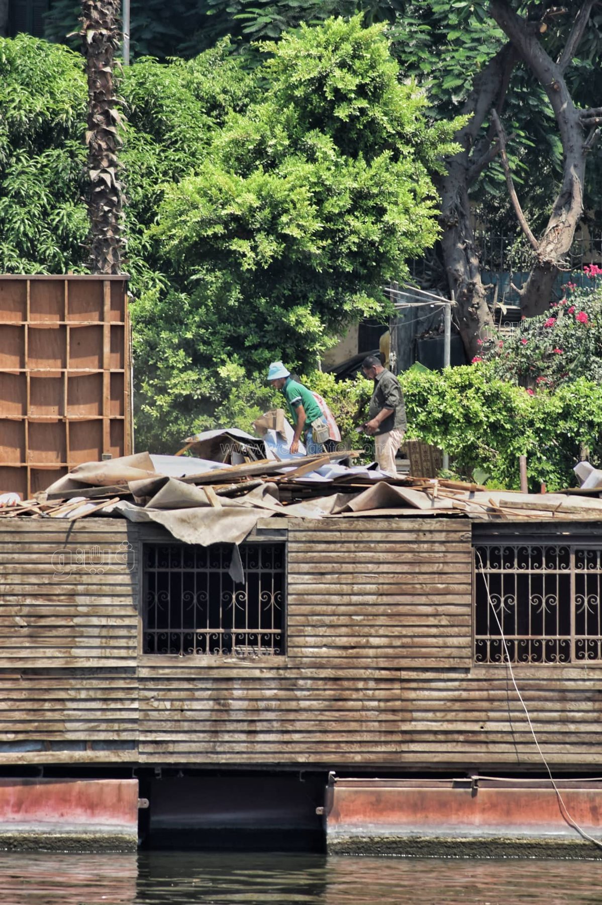 ازالة اكثر من 15 عائمة على نيل القاهرة (15)