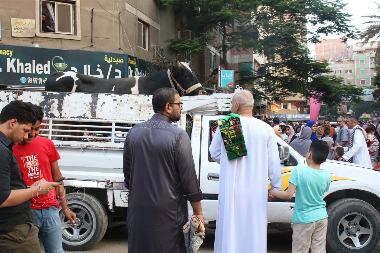 كنيسة ومسجد وشلالات البلالين..صلاة العيد في المعادي شكل تاني (18)