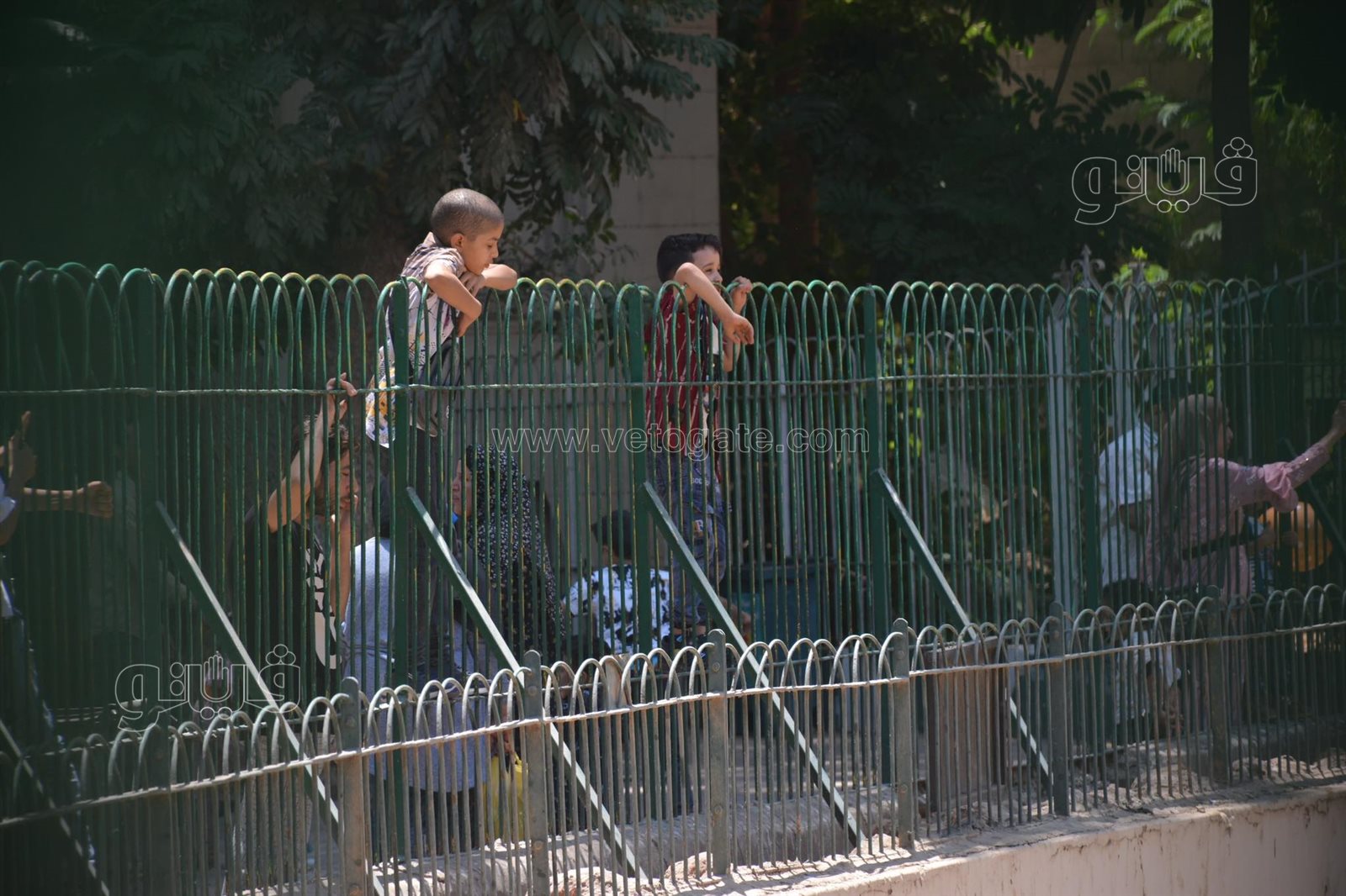 حديقة الحيوان أبرز مزارات المواطنين للاحتفال بالعيد (27)