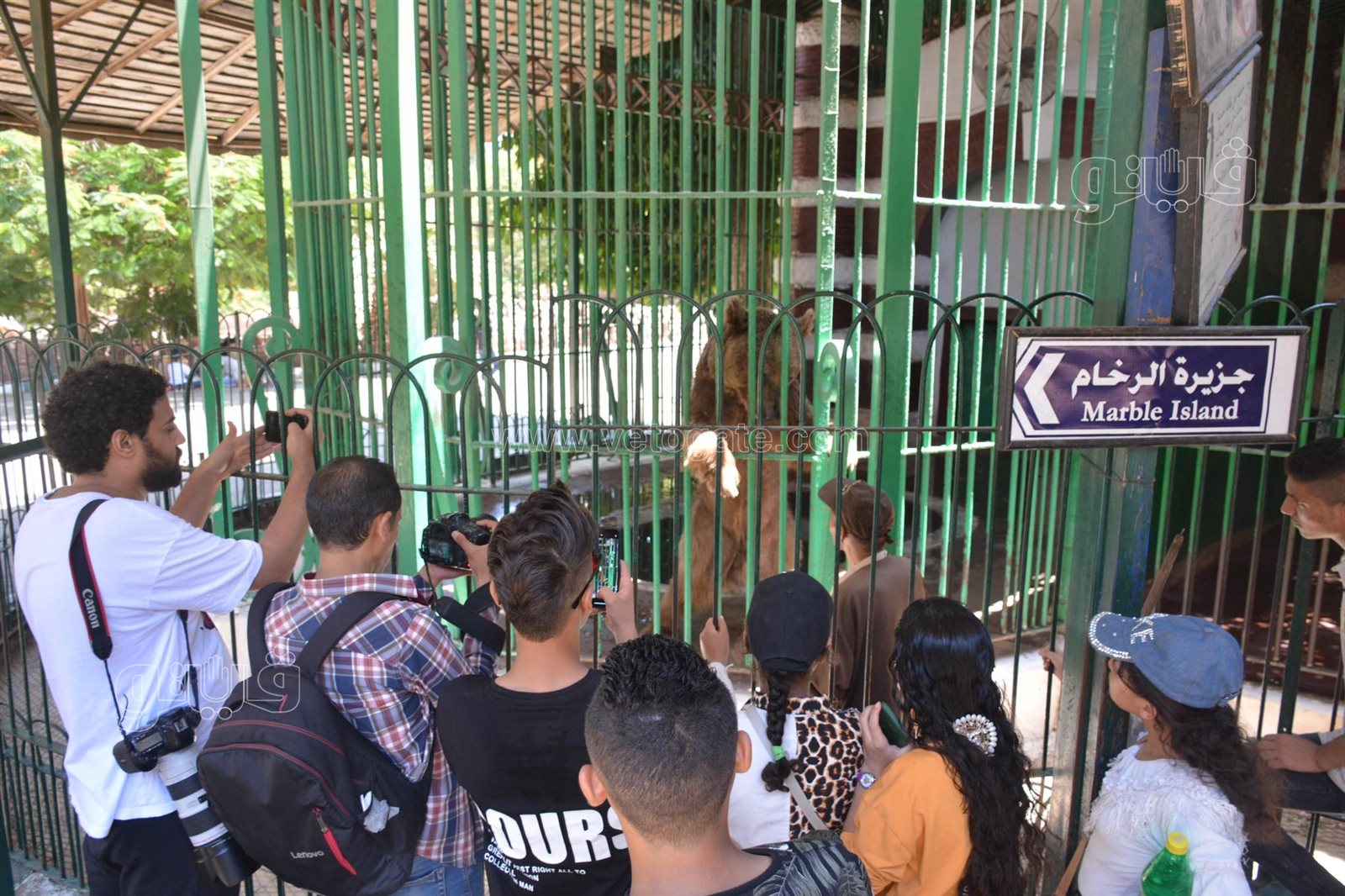 حديقة الحيوان أبرز مزارات المواطنين للاحتفال بالعيد (33)