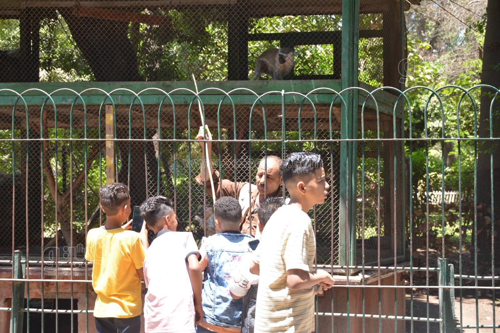 حديقة الحيوان أبرز مزارات المواطنين للاحتفال بالعيد (38)