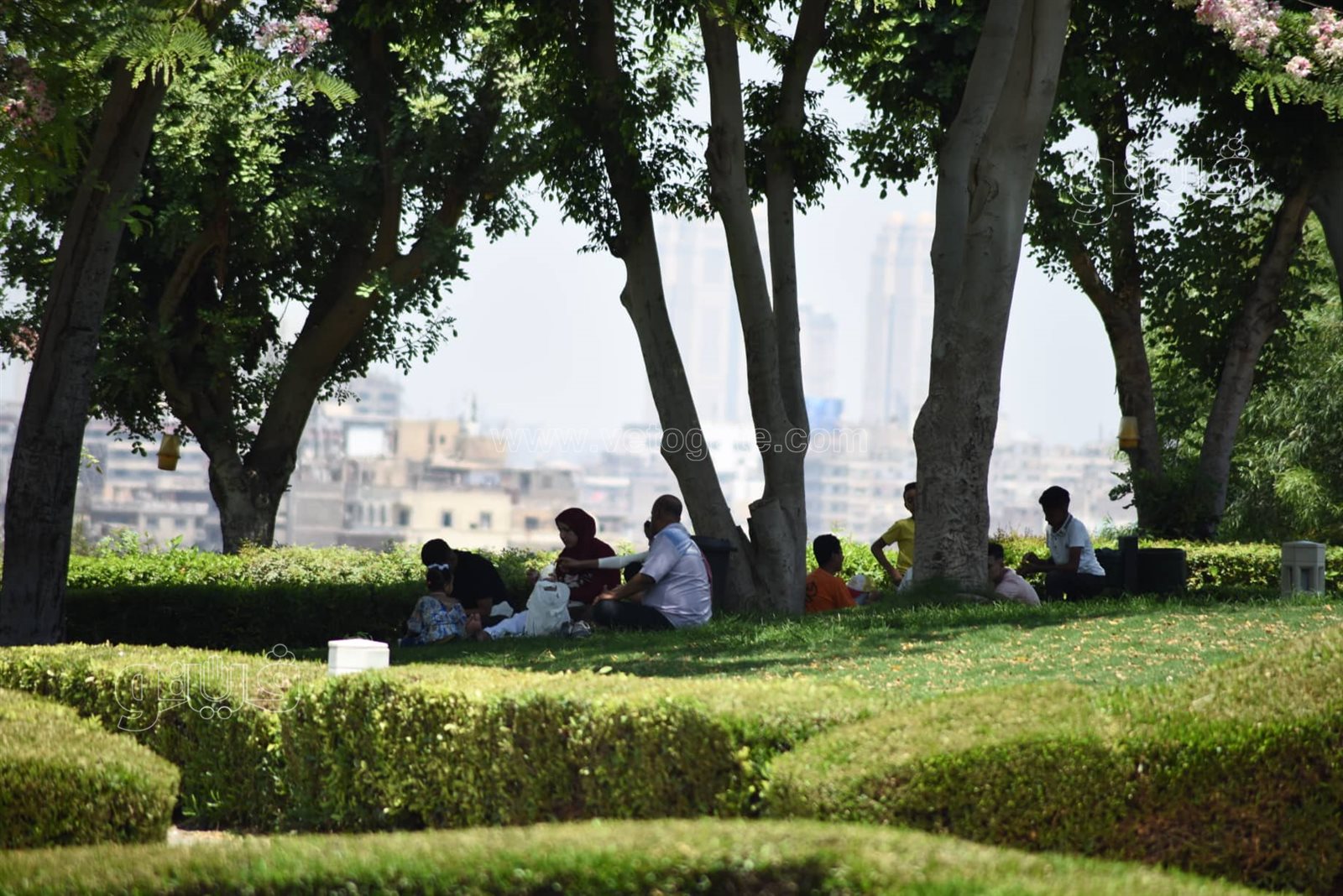 الأسر والعائلات تسيطر على احتفالات أول أيام العيد في الحدائق (1)