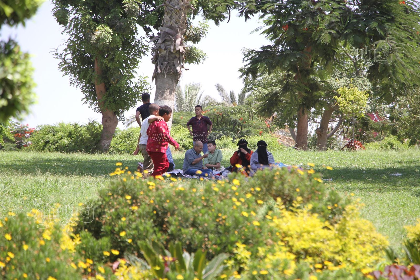 الأسر والعائلات تسيطر على احتفالات أول أيام العيد في الحدائق (4)