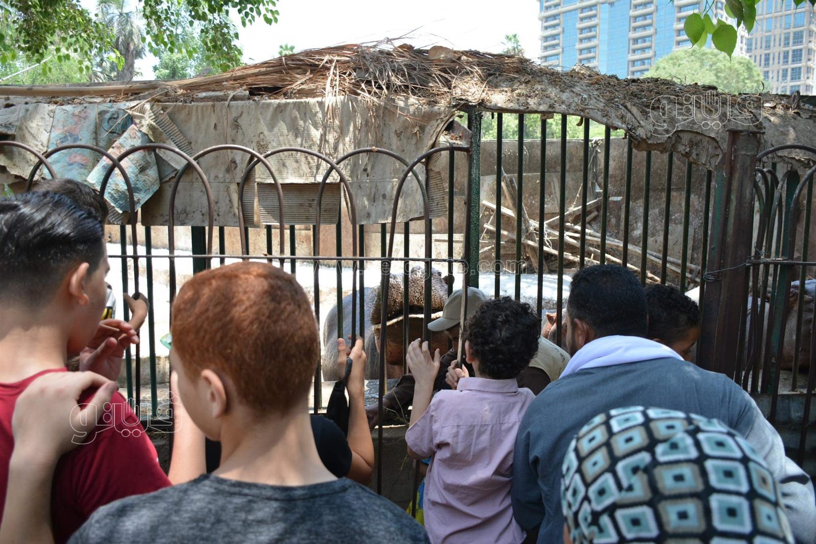 حديقة الحيوان (1)