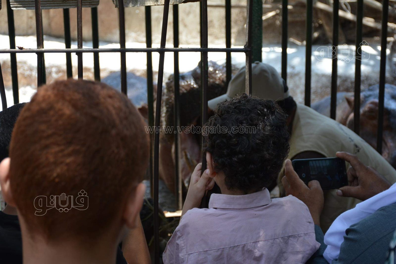 حديقة الحيوان (3)