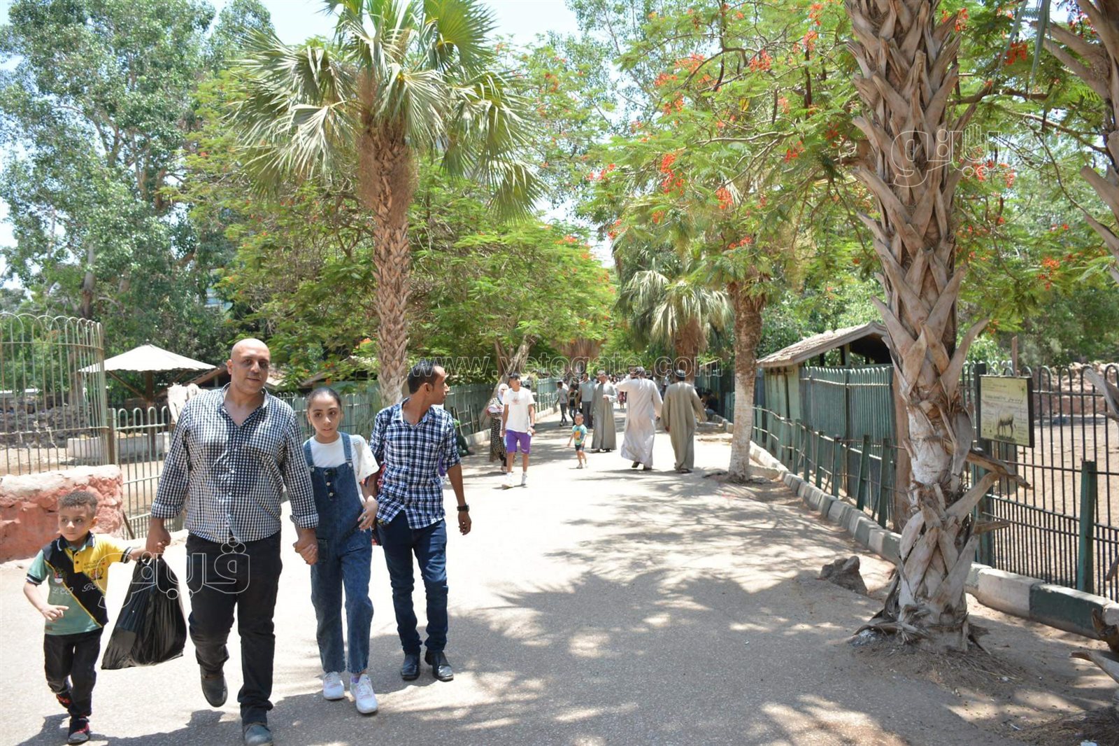 حديقة الحيوان (4)