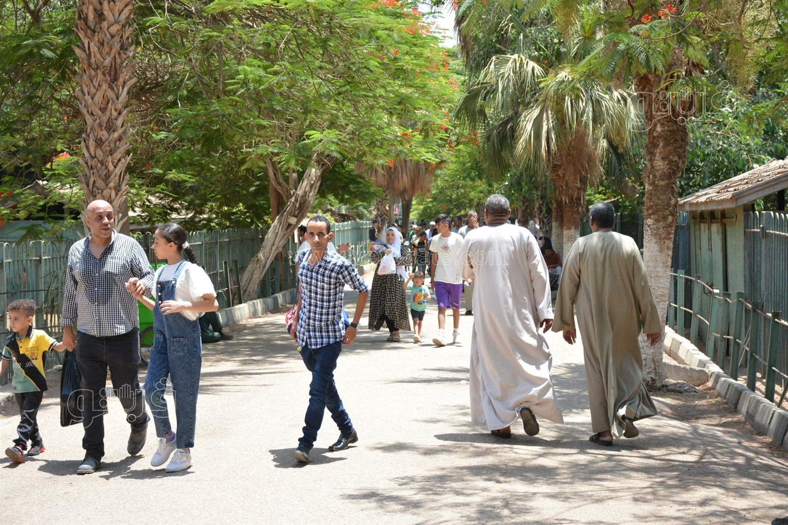 حديقة الحيوان (5)