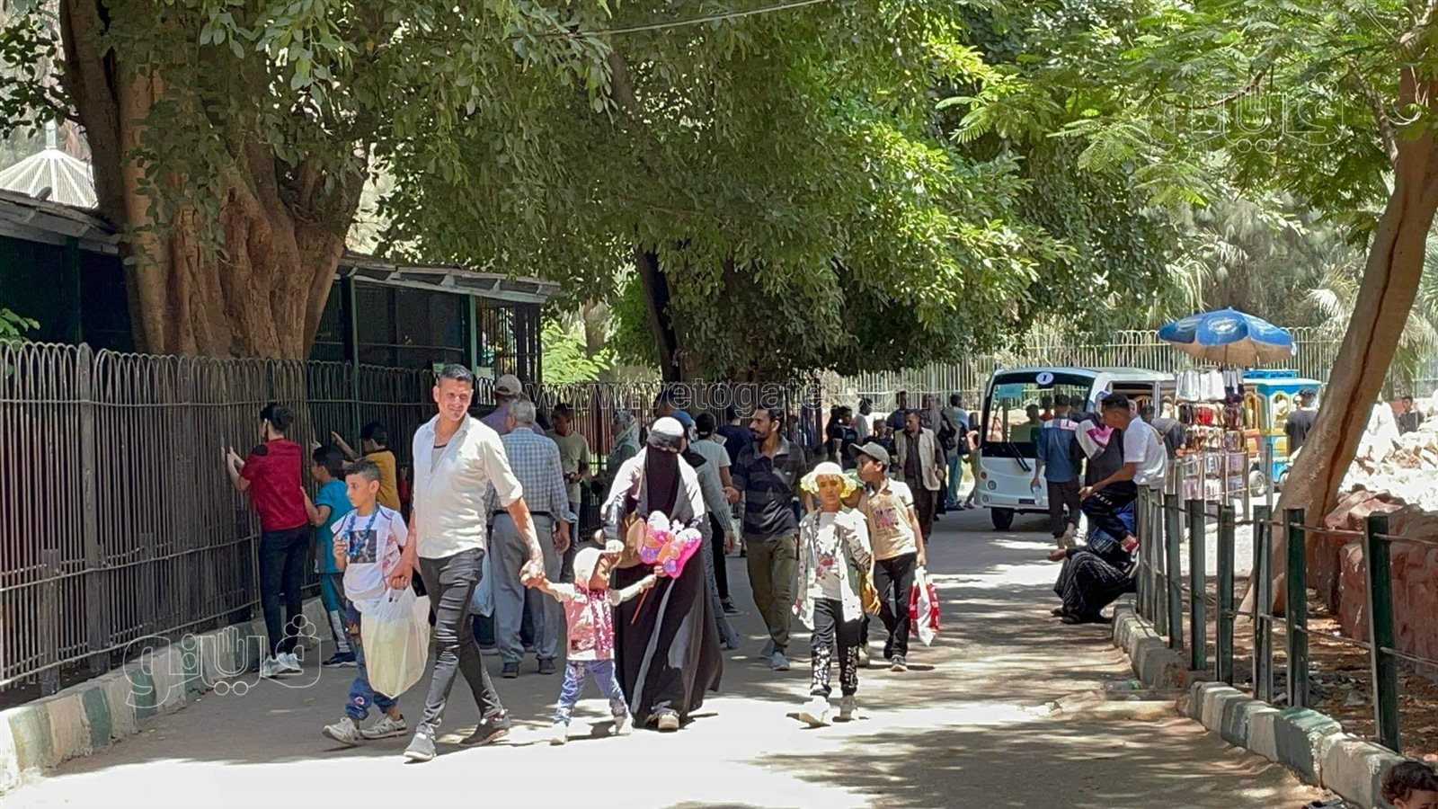 حديقة الحيوان (6)