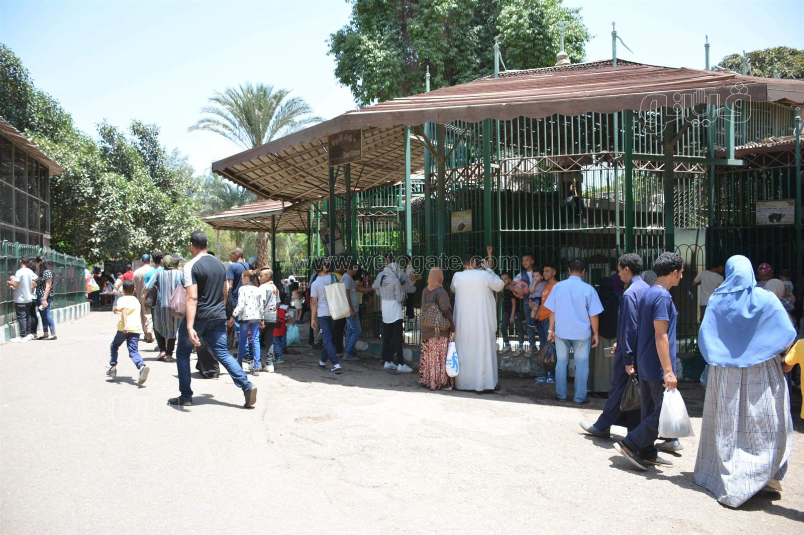 حديقة الحيوان (10)