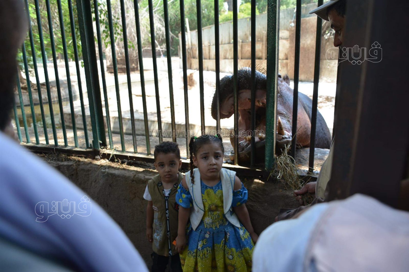 حديقة الحيوان (11)