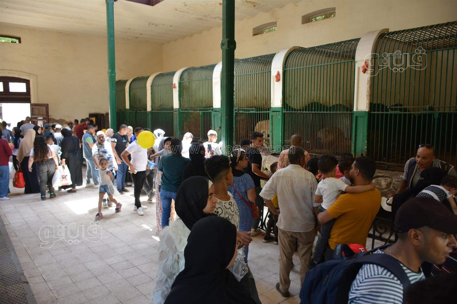 حديقة الحيوان (12)