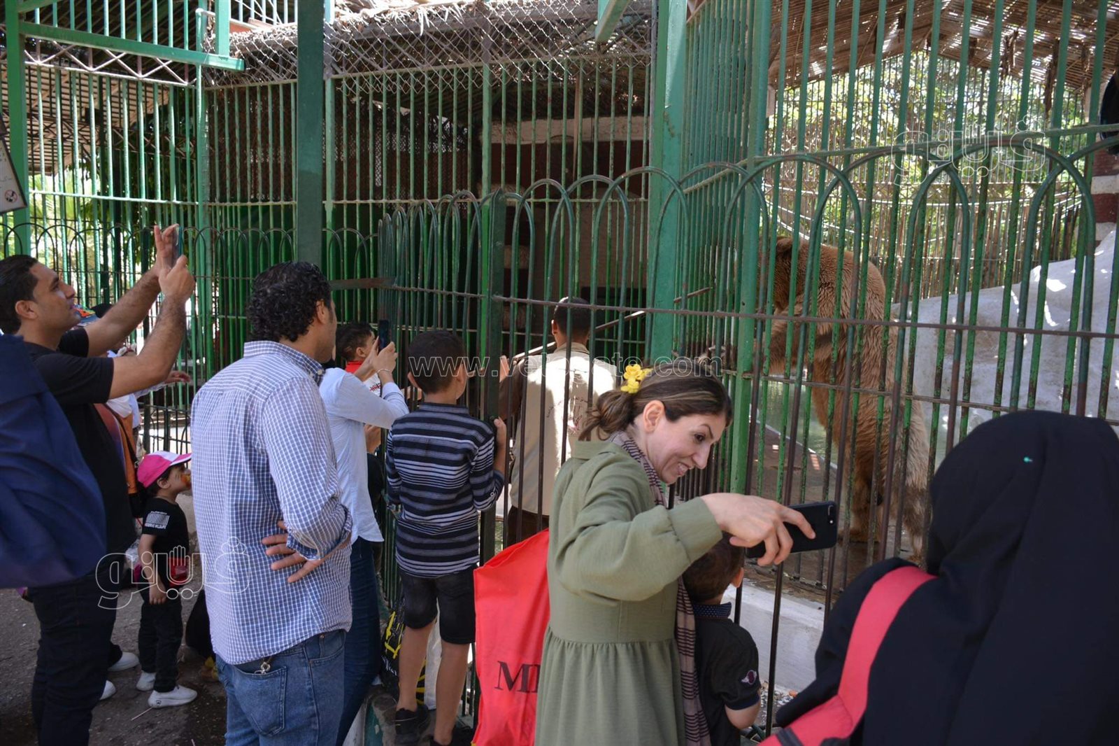 حديقة الحيوان (13)