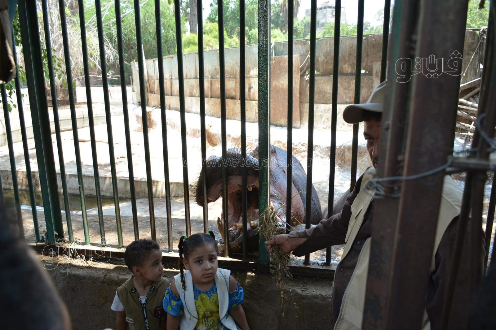 حديقة الحيوان (15)