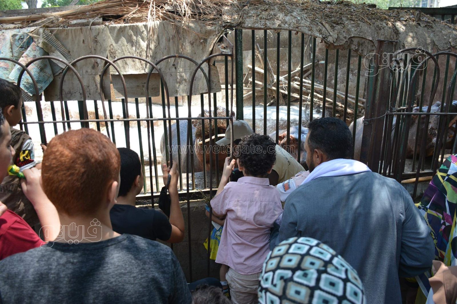 حديقة الحيوان (17)