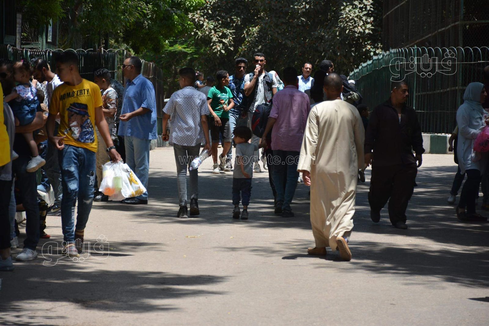 حديقة الحيوان (19)