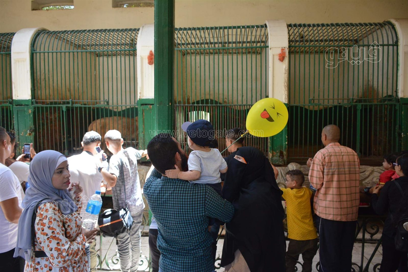 حديقة الحيوان (20)