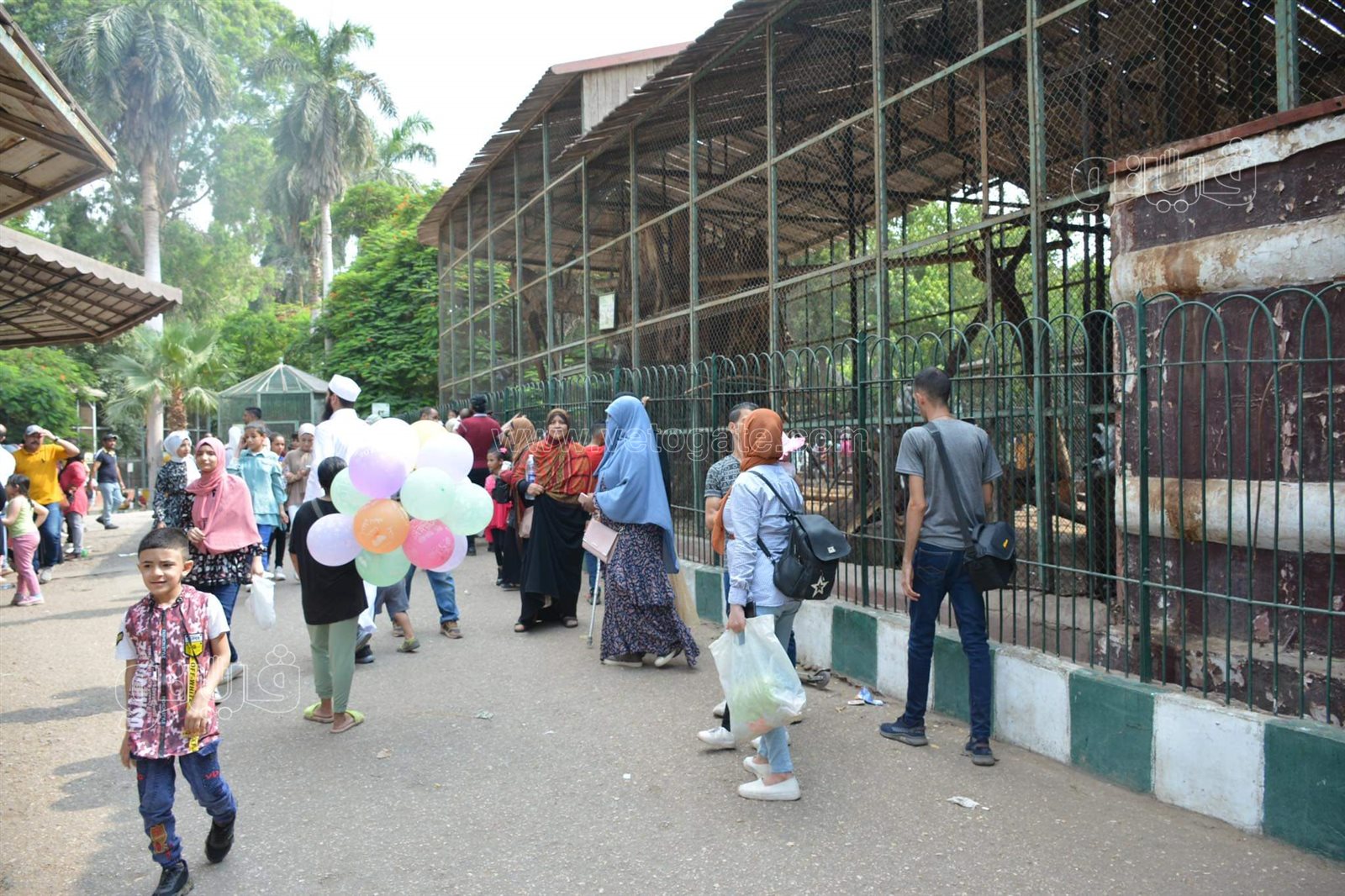 حديقة الحيوان (27)