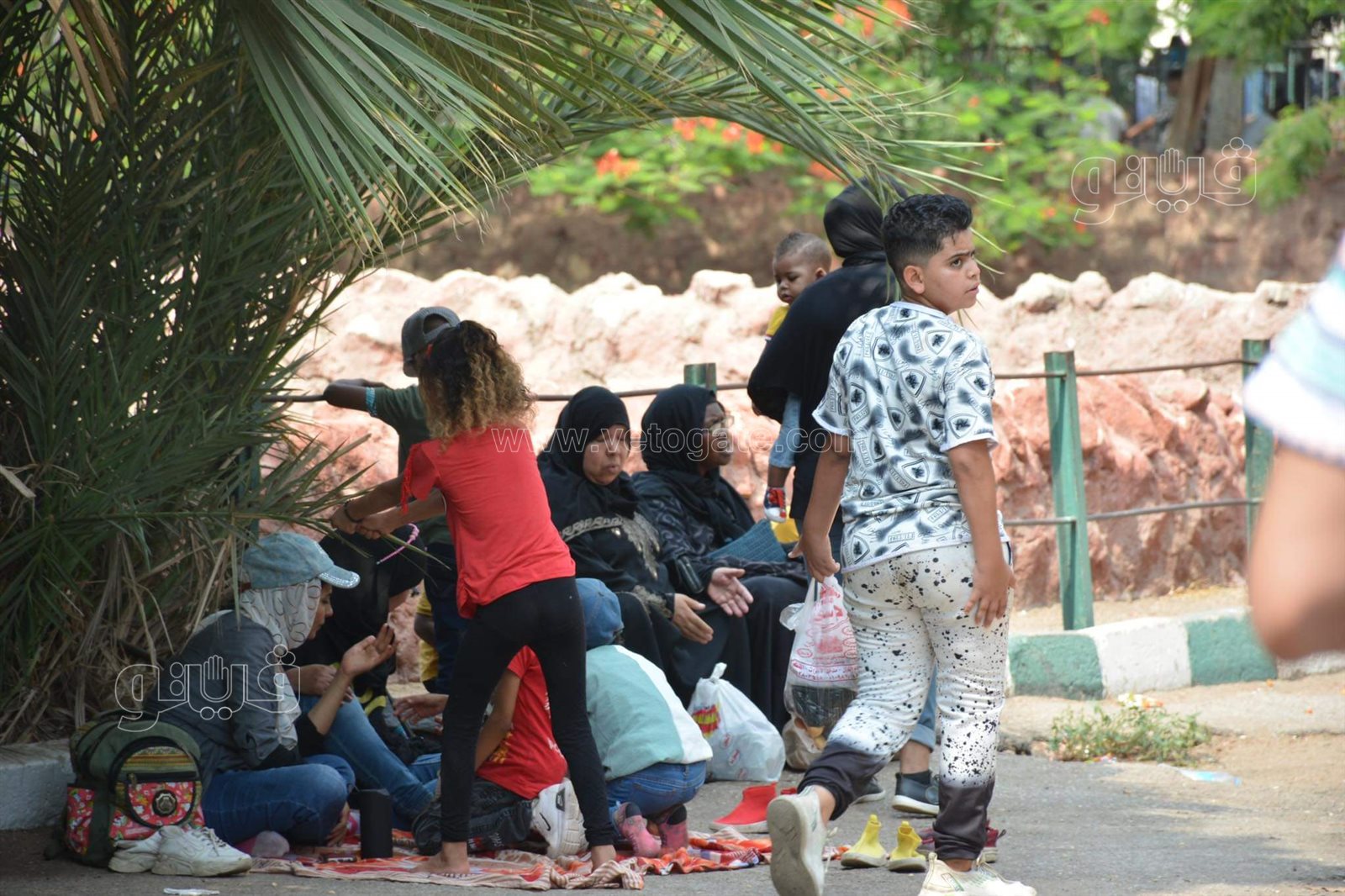 حديقة الحيوان (33)