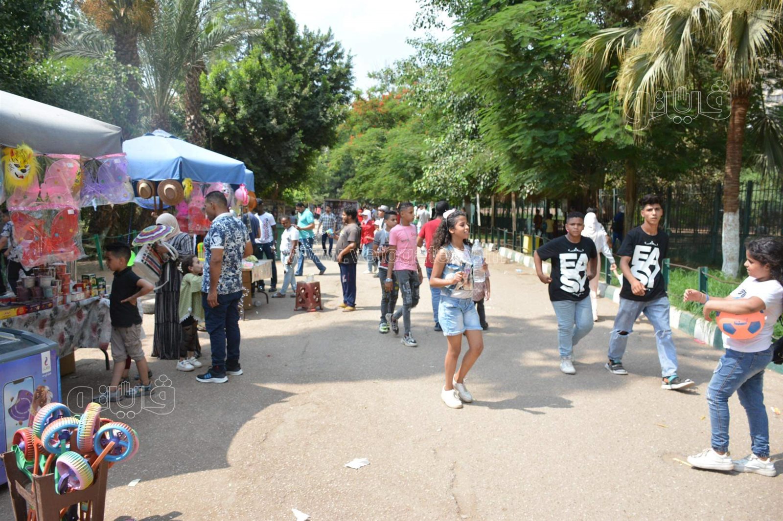 حديقة الحيوان (36)