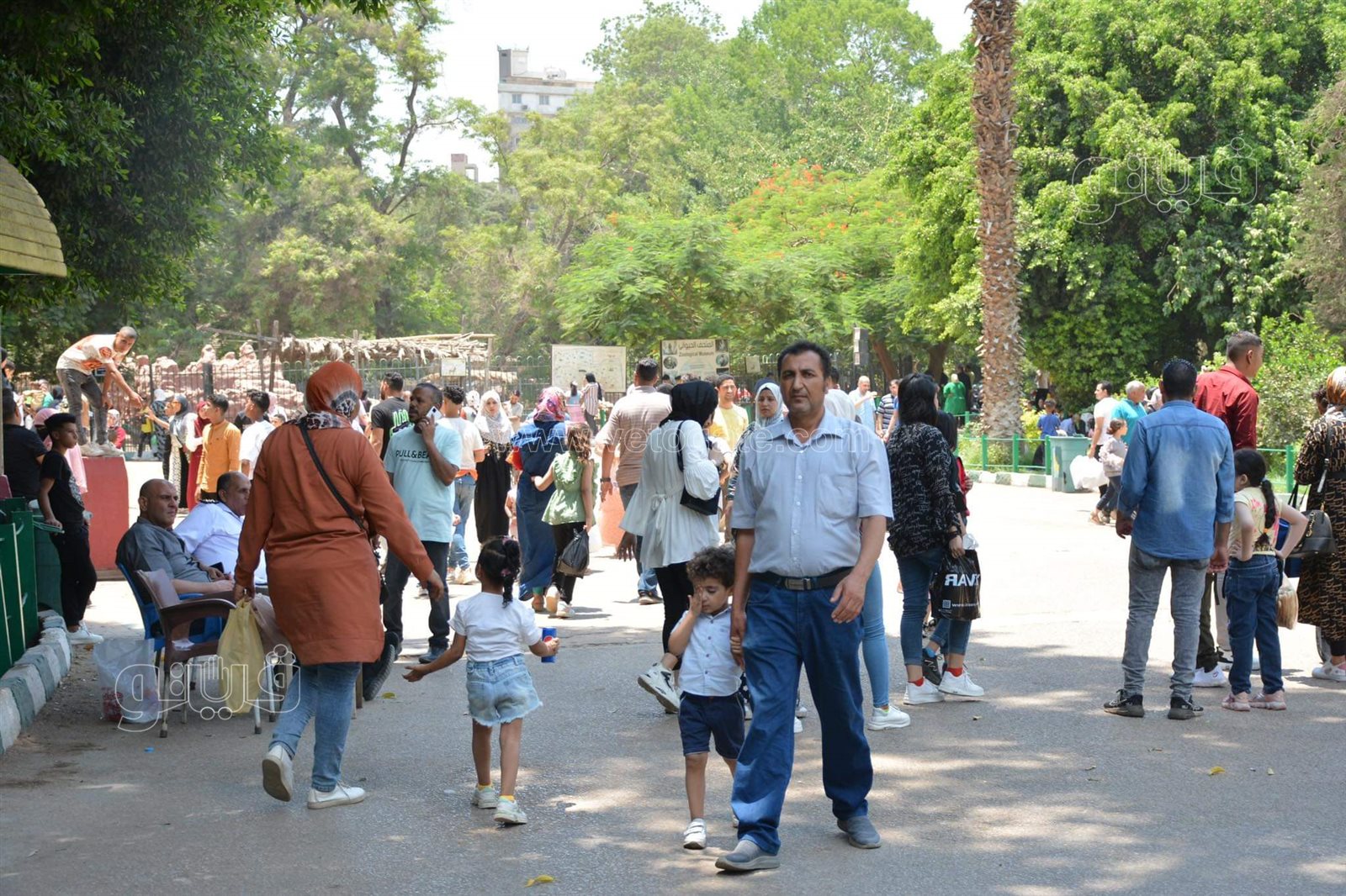 وسط أنغام الدي چي وتلوين وشوش الاطفال.. إقبال على حديقة الحيوان في ثالث ايام الاضحى (4)