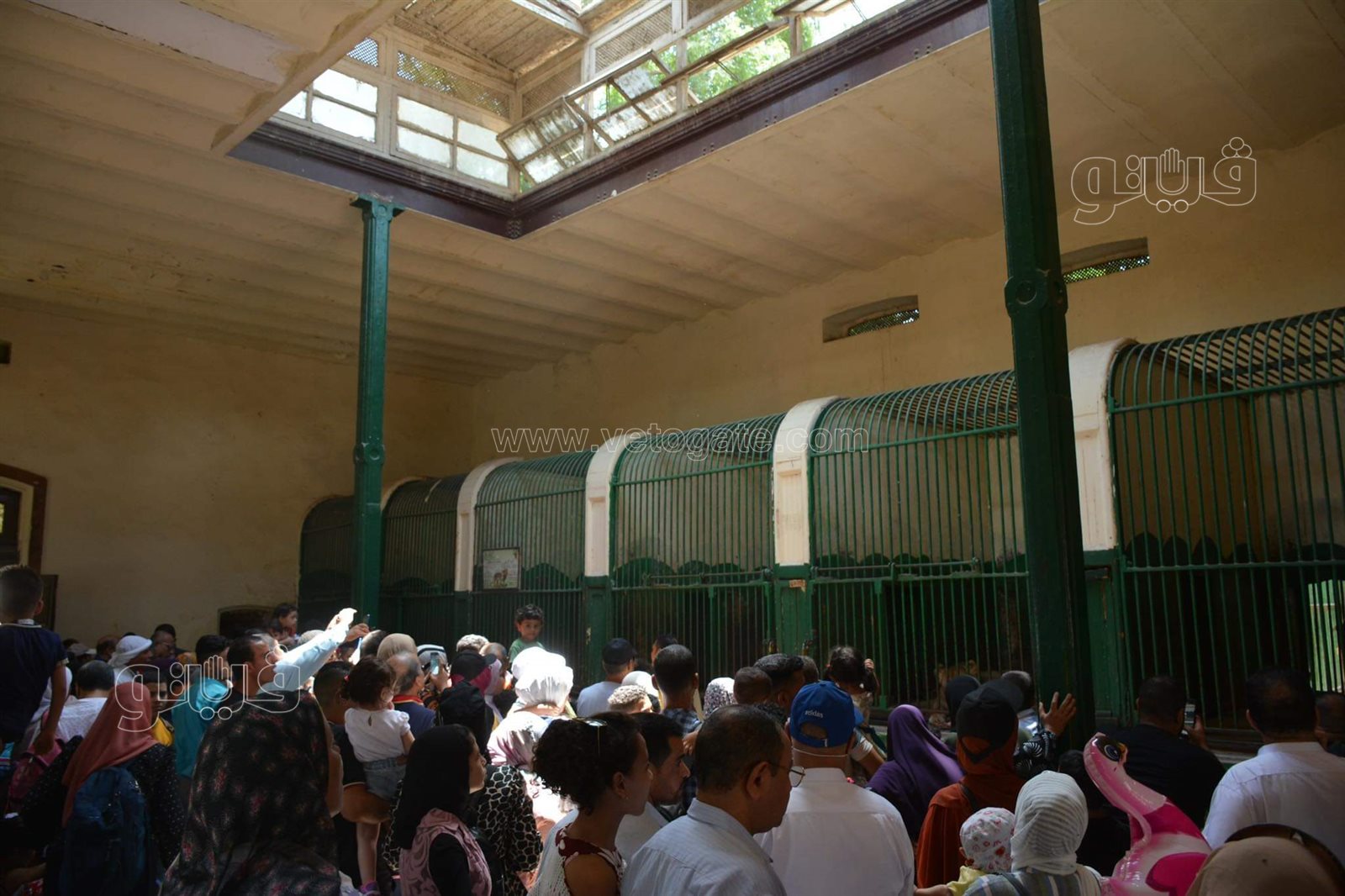 وسط أنغام الدي چي وتلوين وشوش الاطفال.. إقبال على حديقة الحيوان في ثالث ايام الاضحى (6)