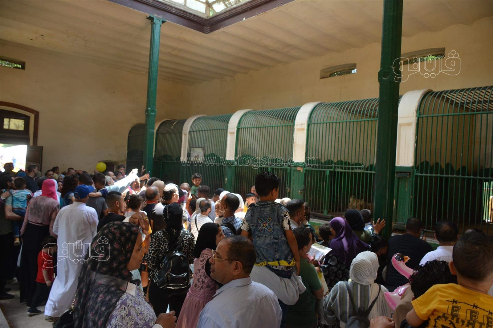 وسط أنغام الدي چي وتلوين وشوش الاطفال.. إقبال على حديقة الحيوان في ثالث ايام الاضحى (8)