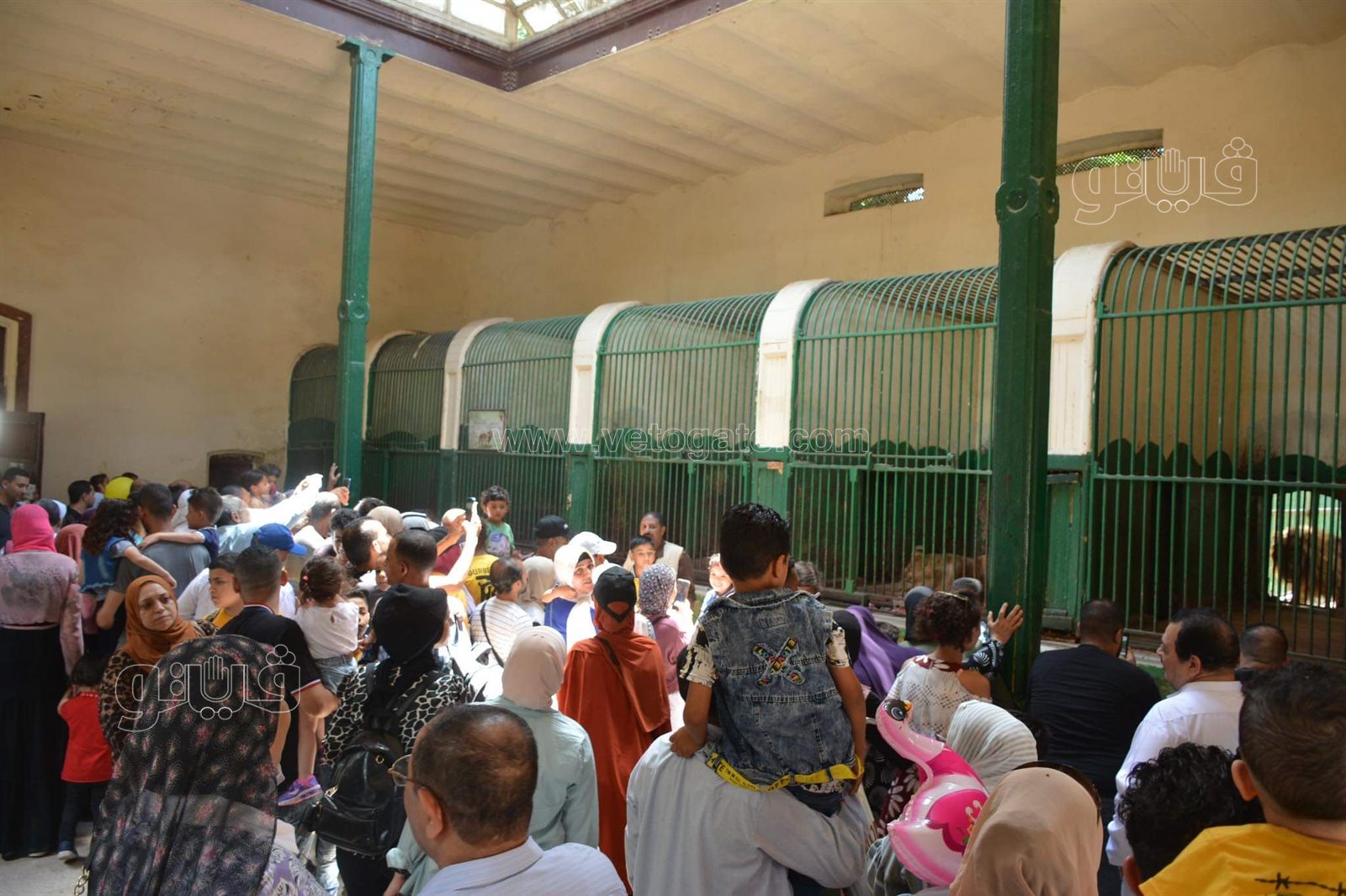 وسط أنغام الدي چي وتلوين وشوش الاطفال.. إقبال على حديقة الحيوان في ثالث ايام الاضحى (11)