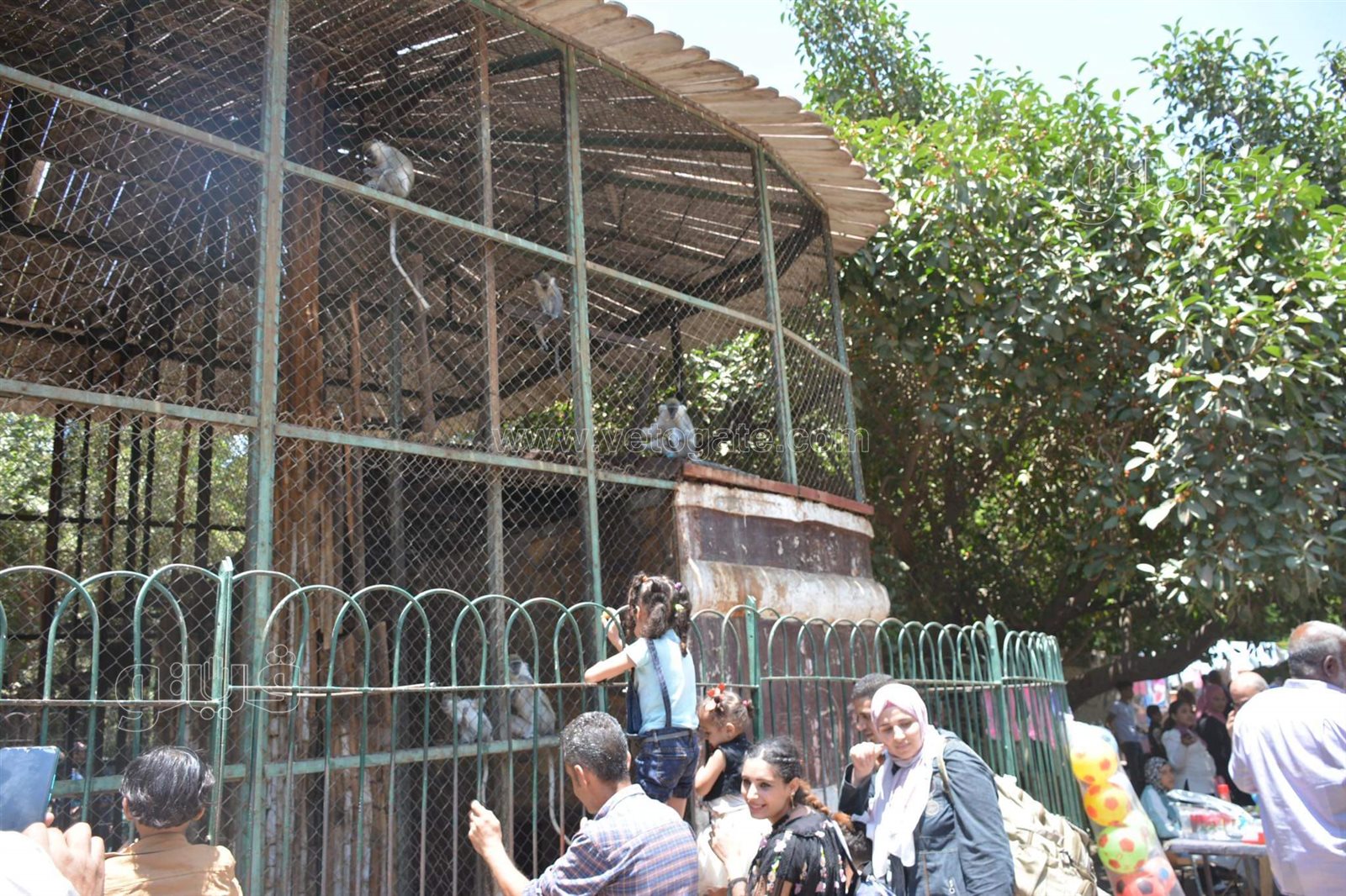 وسط أنغام الدي چي وتلوين وشوش الاطفال.. إقبال على حديقة الحيوان في ثالث ايام الاضحى (14)