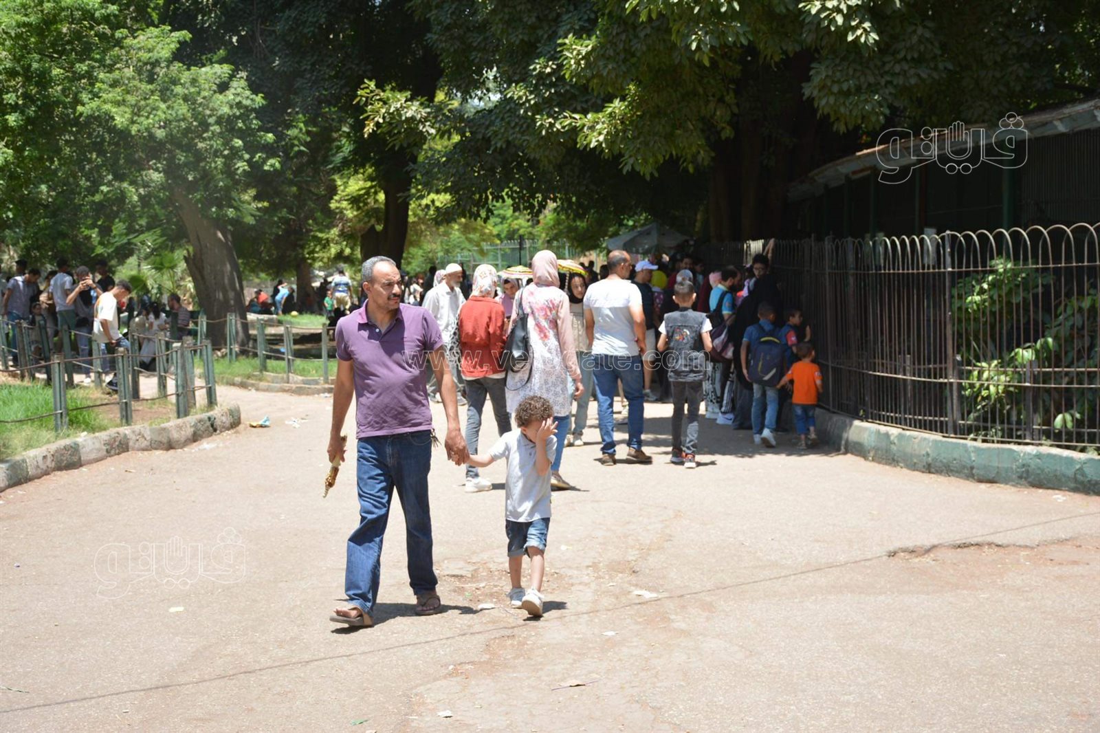 وسط أنغام الدي چي وتلوين وشوش الاطفال.. إقبال على حديقة الحيوان في ثالث ايام الاضحى (16)