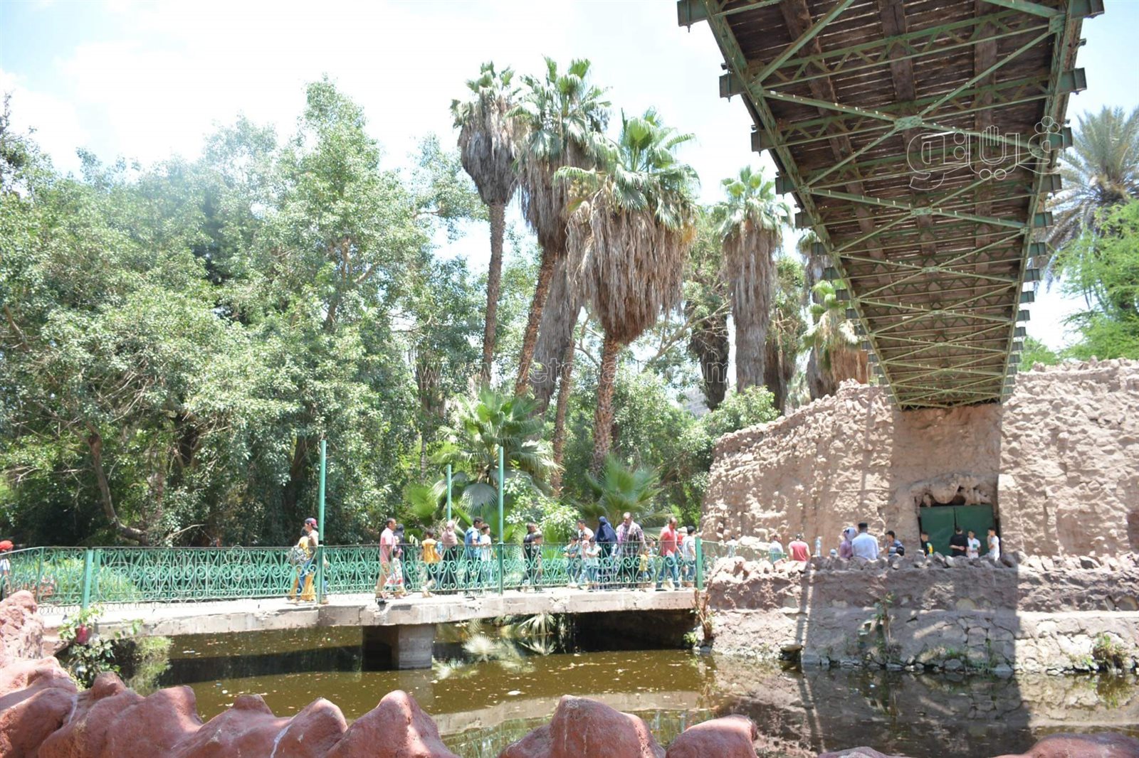 وسط أنغام الدي چي وتلوين وشوش الاطفال.. إقبال على حديقة الحيوان في ثالث ايام الاضحى (24)