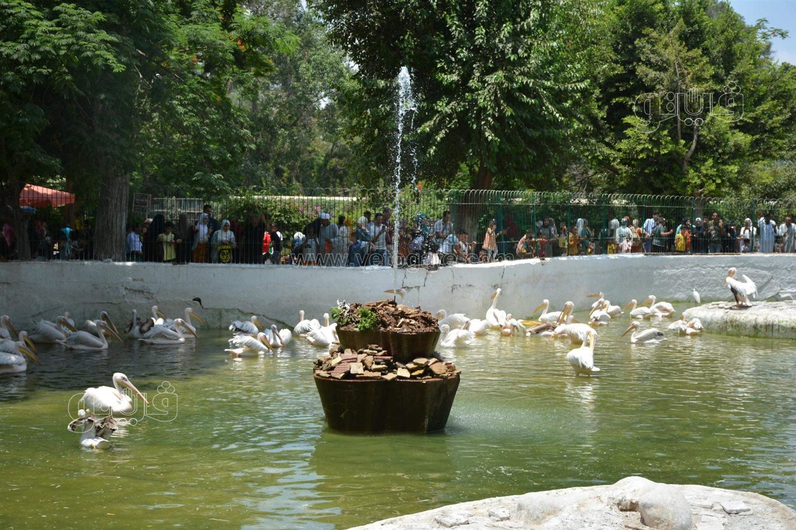 وسط أنغام الدي چي وتلوين وشوش الاطفال.. إقبال على حديقة الحيوان في ثالث ايام الاضحى (25)