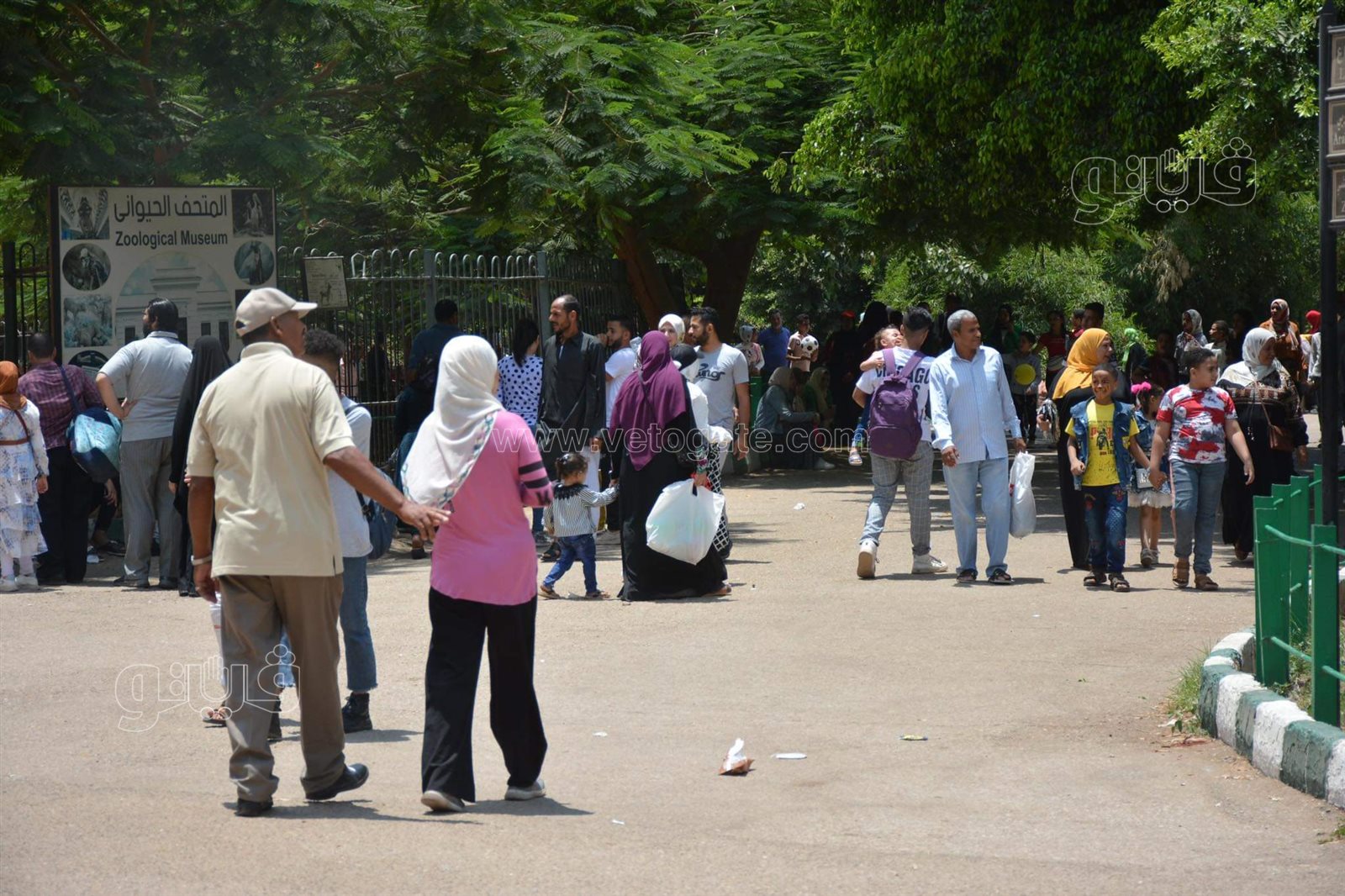 وسط أنغام الدي چي وتلوين وشوش الاطفال.. إقبال على حديقة الحيوان في ثالث ايام الاضحى (28)