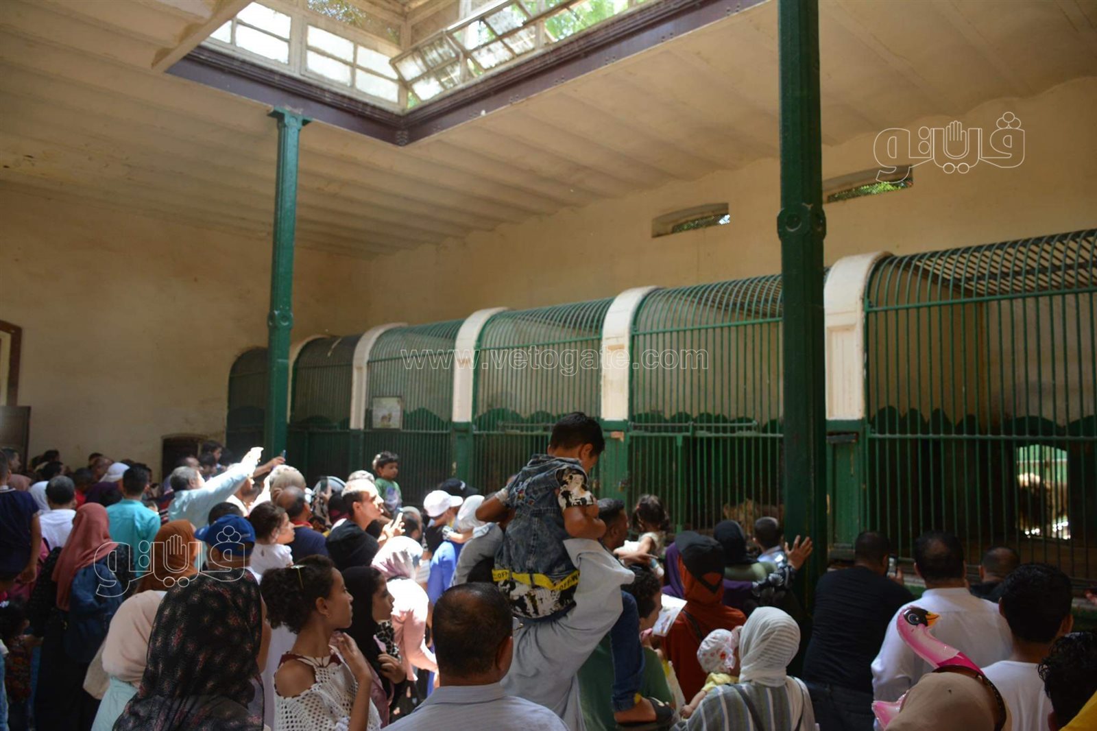 وسط أنغام الدي چي وتلوين وشوش الاطفال.. إقبال على حديقة الحيوان في ثالث ايام الاضحى (30)