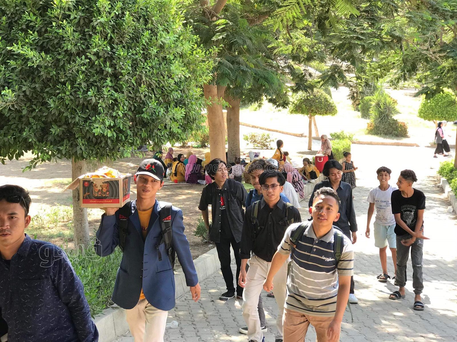 الحديقة اليابانية (3)