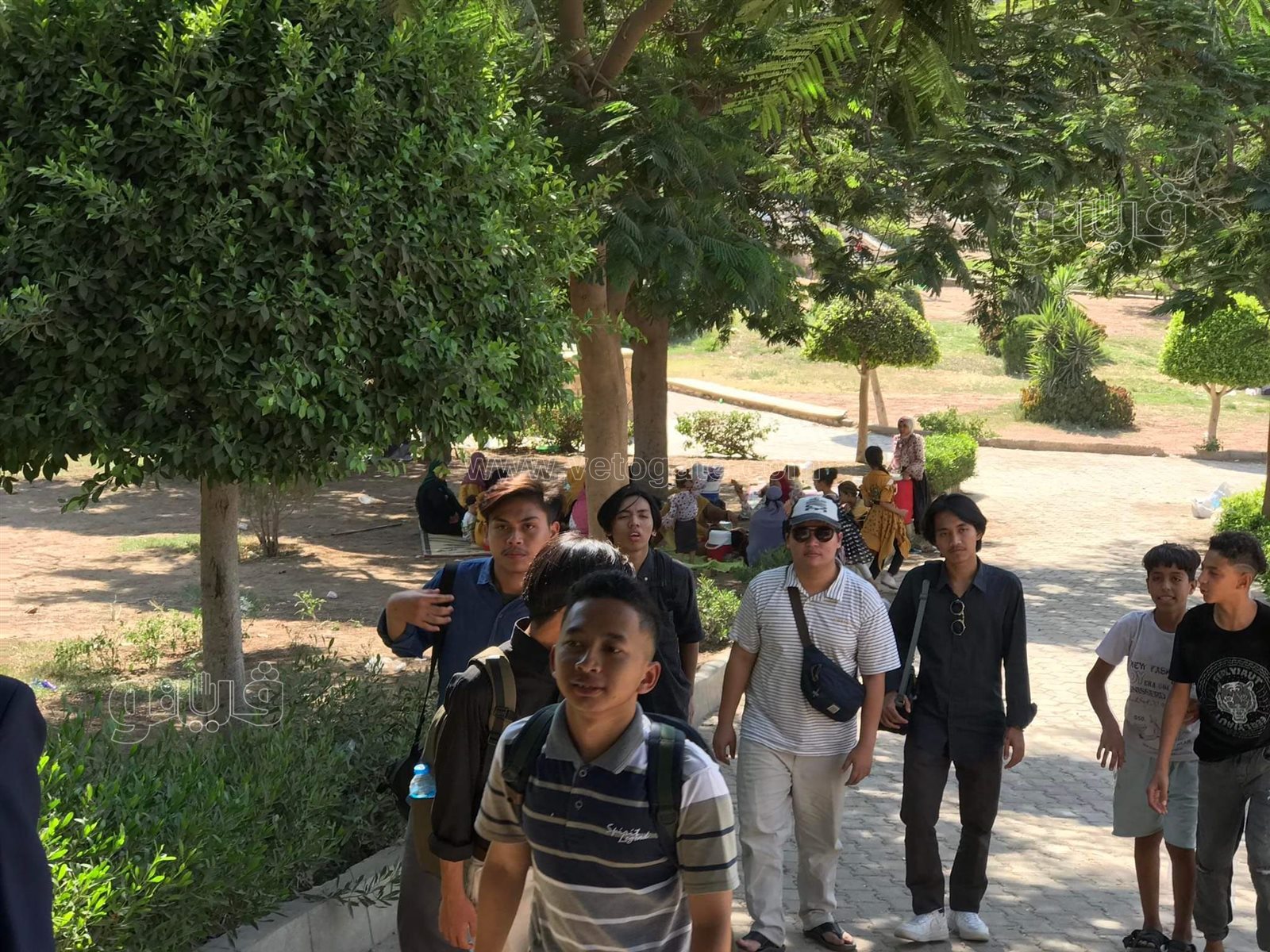 الحديقة اليابانية (4)