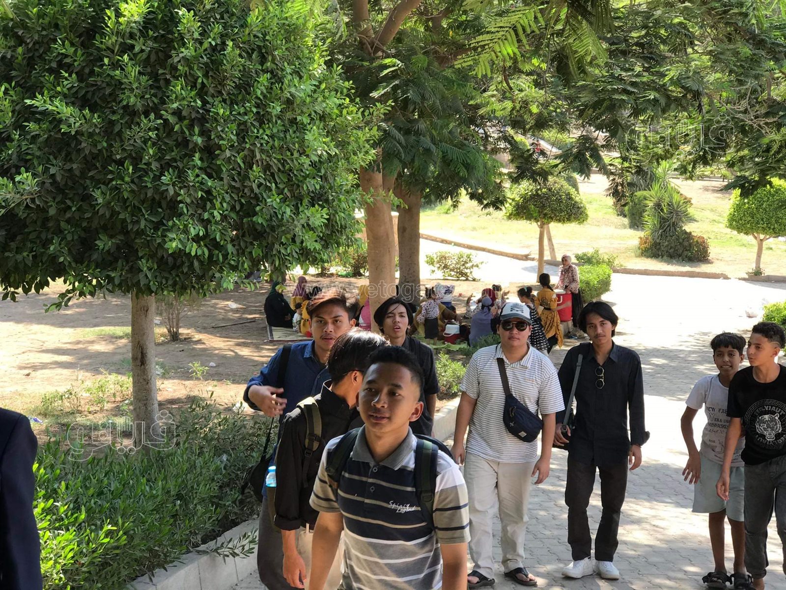 الحديقة اليابانية (1)