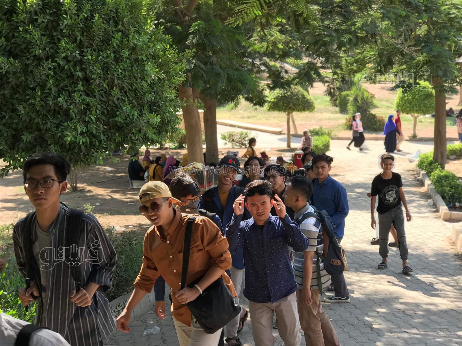 الحديقة اليابانية (2)