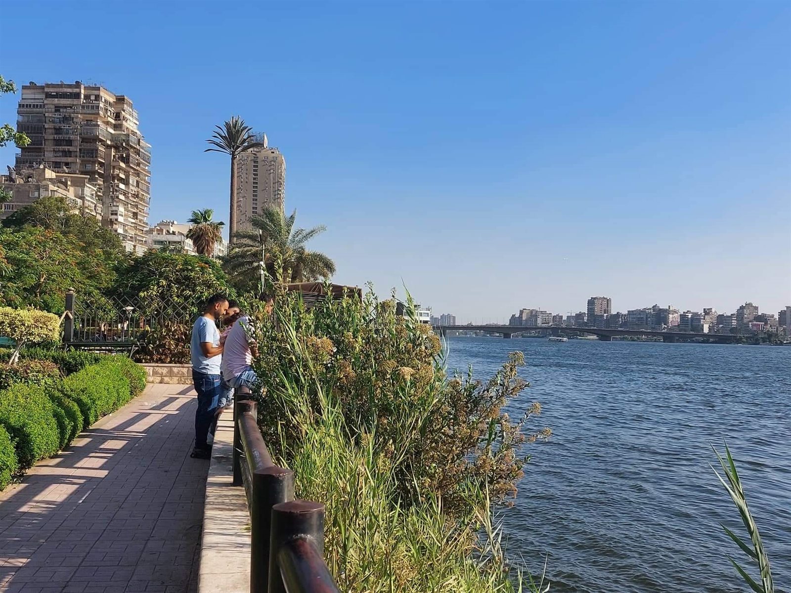 ملاهٍ وتسلق تمثال أحمد رامي.. احتفال الاطفال بخامس أيام إجازة العيد في حديقة المنيل (1)