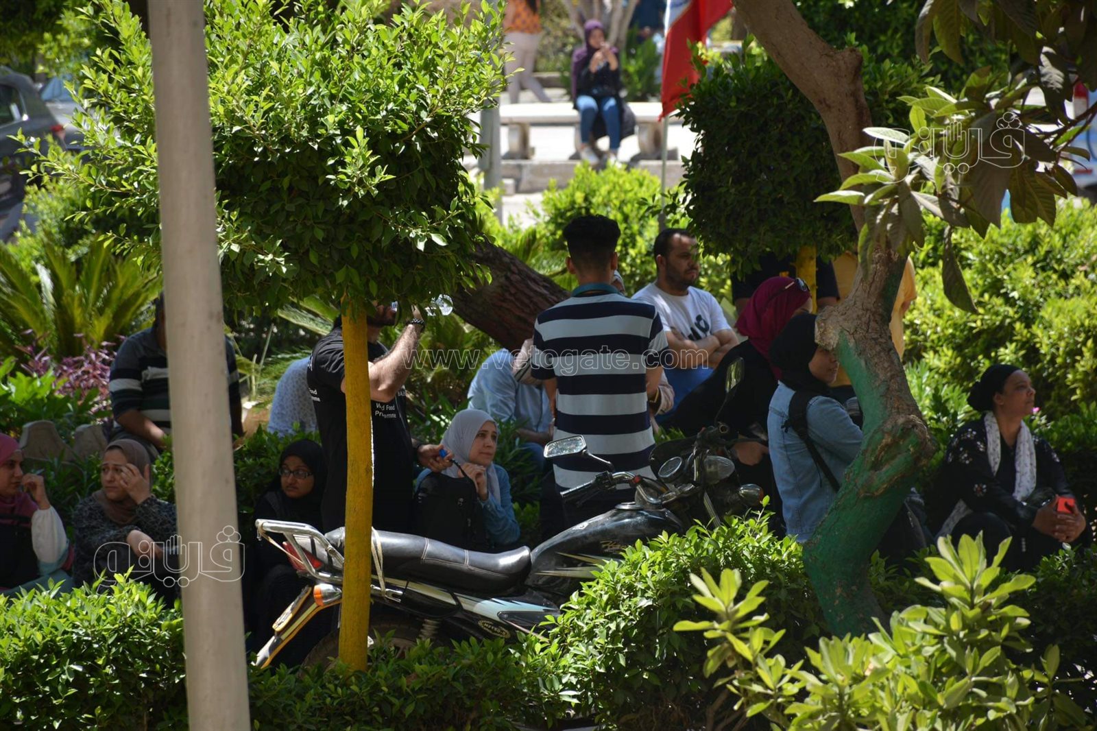 انتظار أولياء أمور طلاب الثانوية أمام إعلام القاهرة خلال أداء امتحانات القدرات (1)